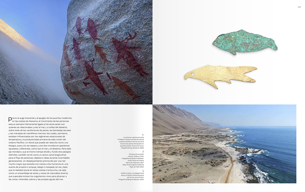 Chile, Redes y Movimientos